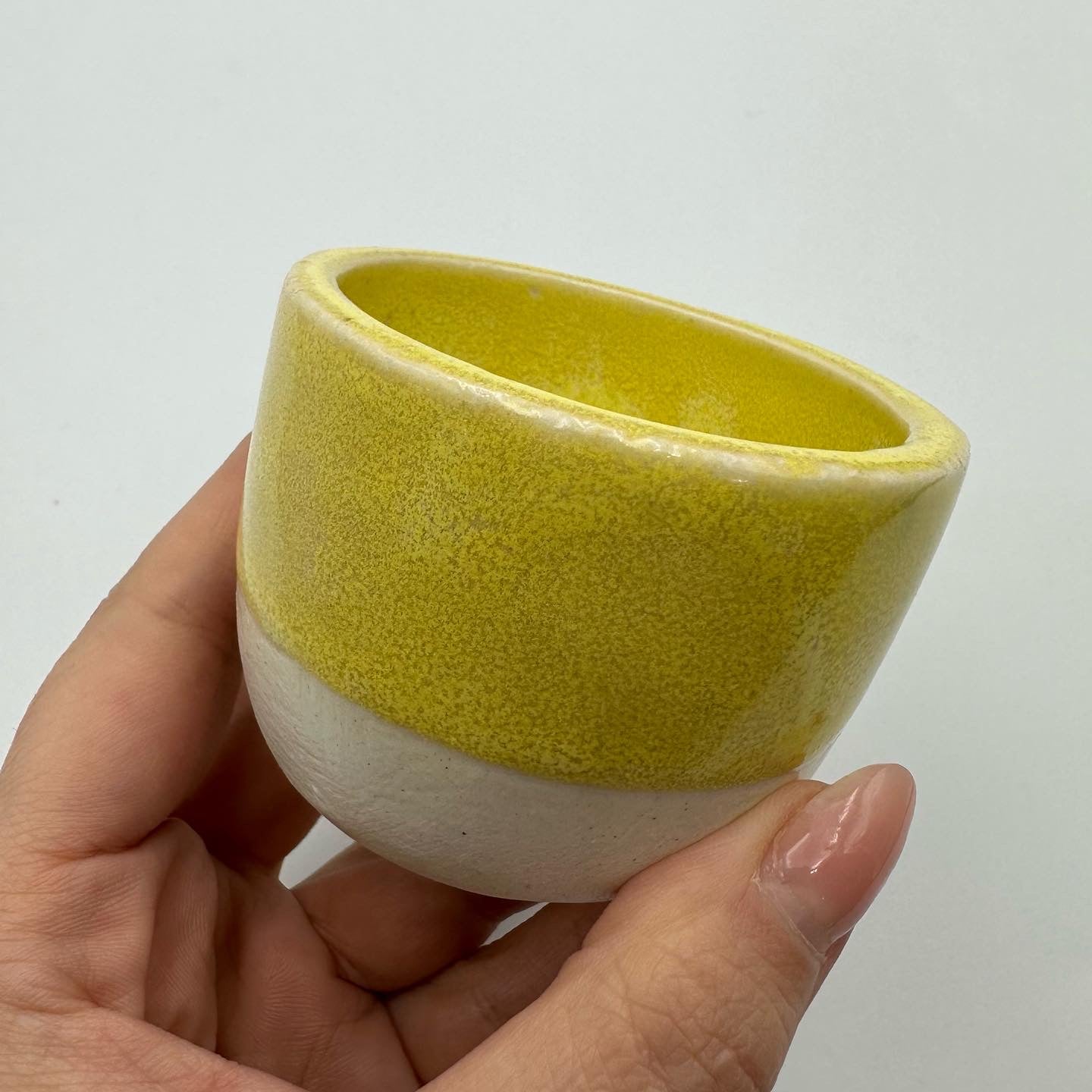 Parakeet Yellow MBG243 - Dry base 2.4kg