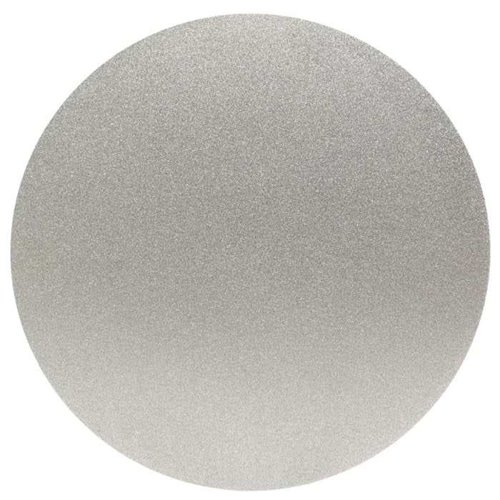 Grinding Disk 20CM 60 Grit
