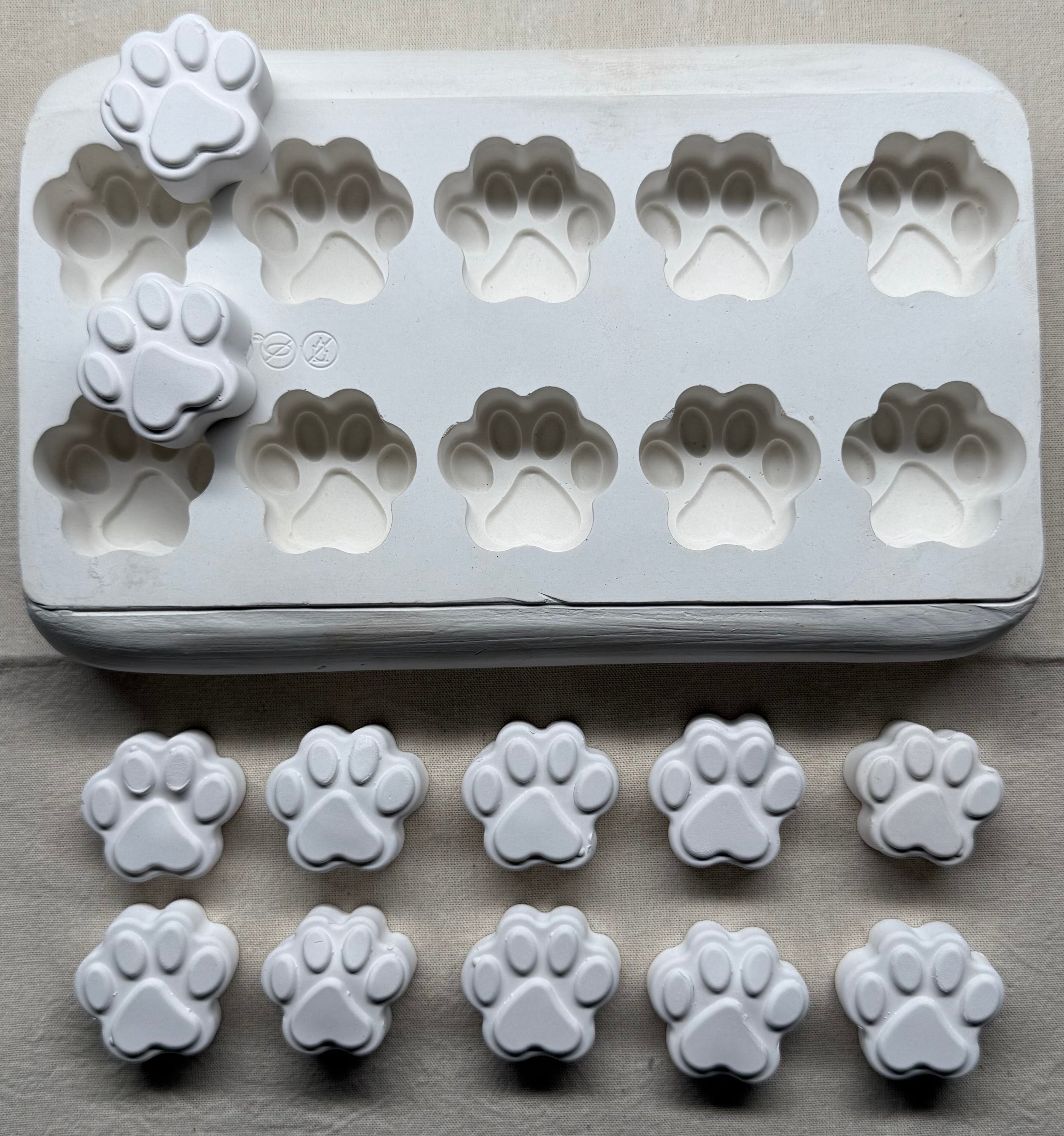 Paw Shape Plaster Mold