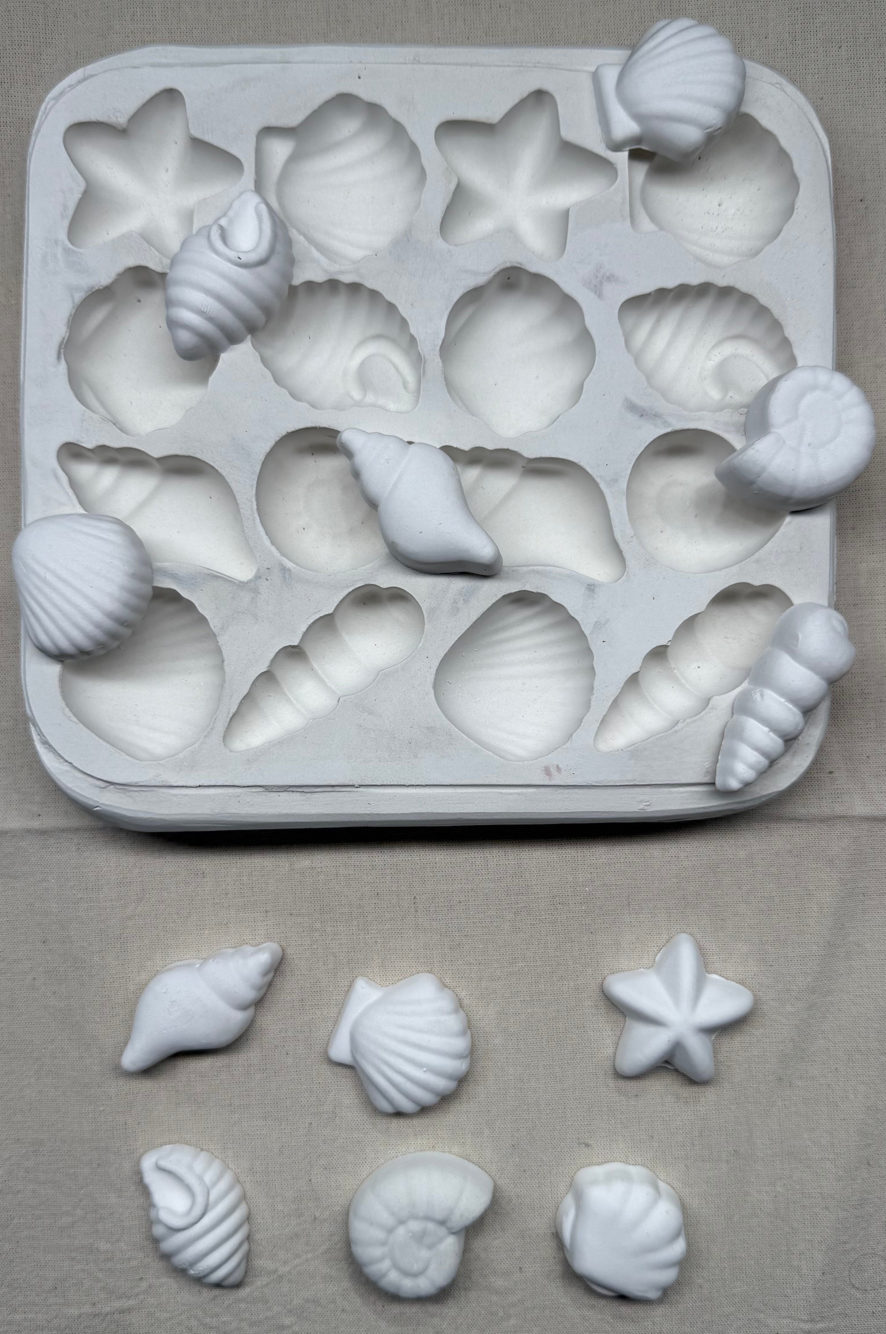 Sea Shell Plaster Mold