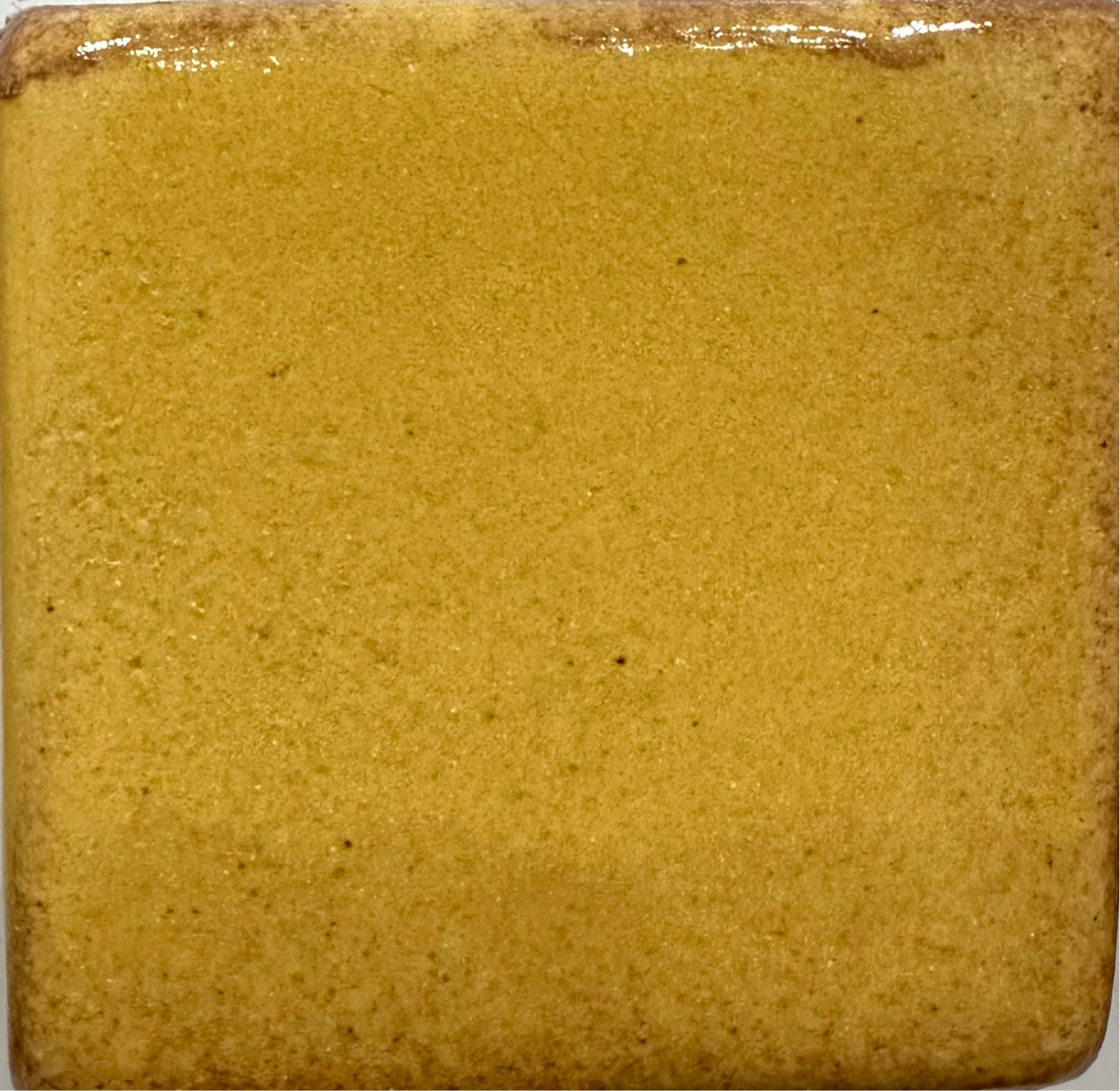 Butterscotch Shino MBG086 - Dry base 2.4kg