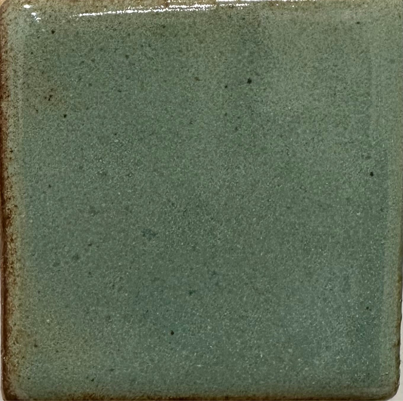 Desert Sage MBG061