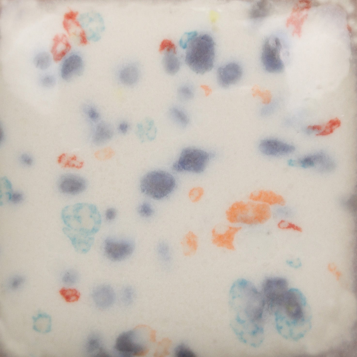 Speckled Old Lace SP286