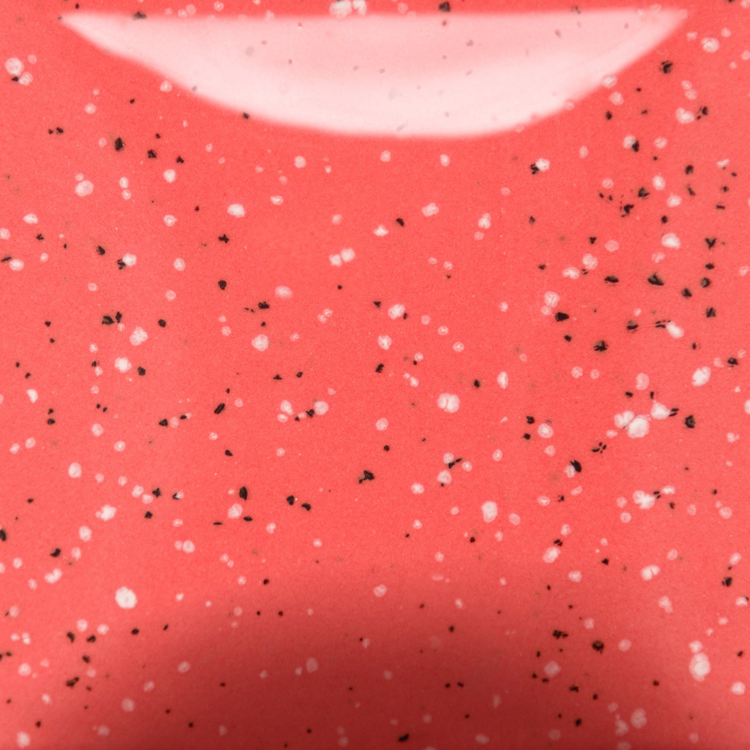 Speckled Cutie Pie Coral SP289