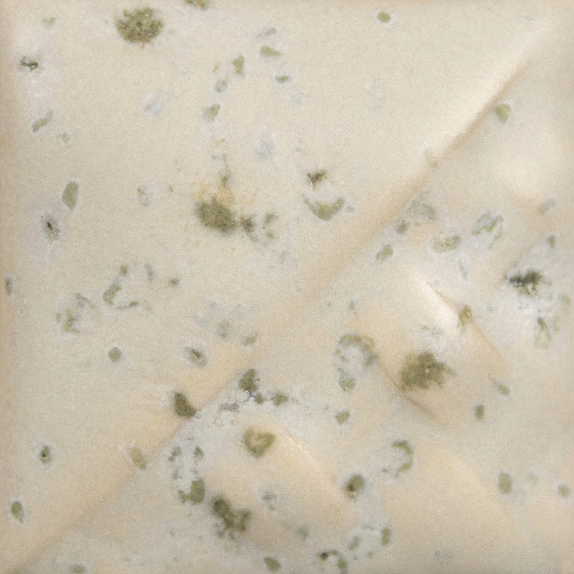 SEA SALT SW118