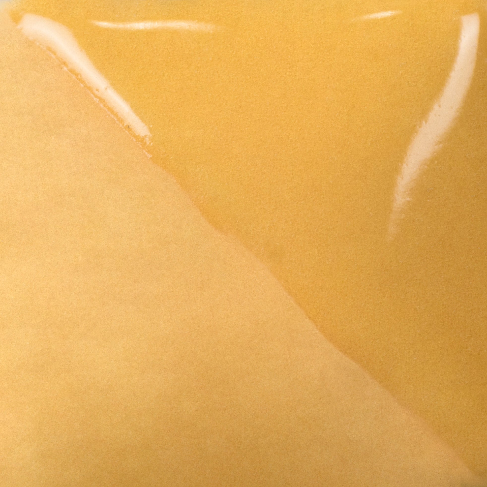 SQUASH YELLOW UG203