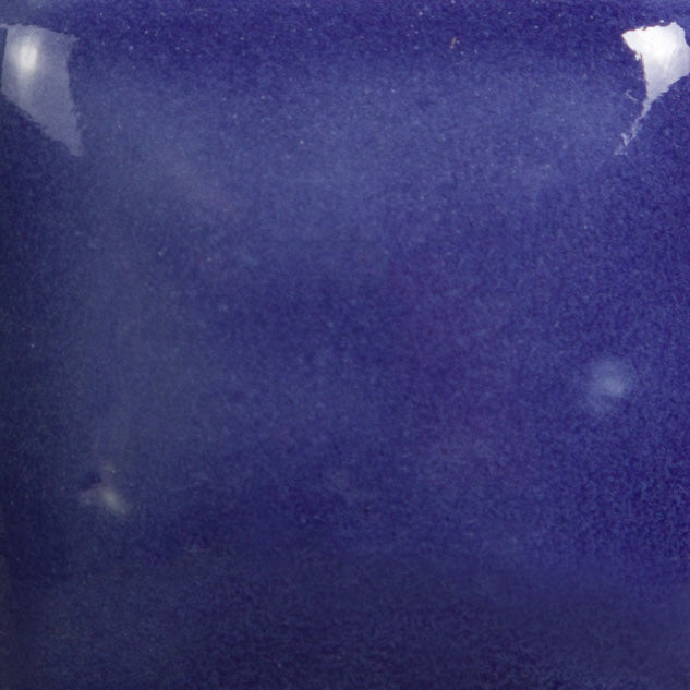 Purple FN017