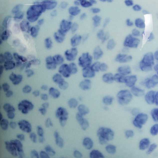 Speckled My Blue Heaven - SP245