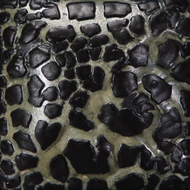 BLACK MUDCRACK SW404