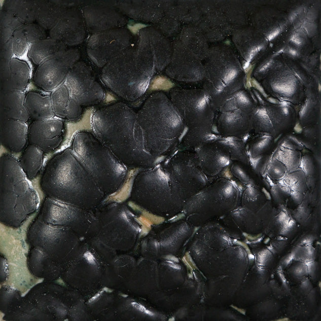 BLACK MUDCRACK SW404