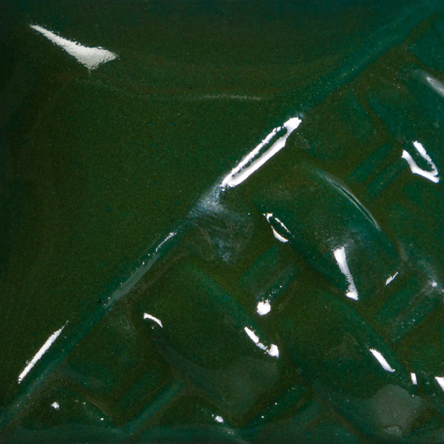 Dark Green Gloss SW509