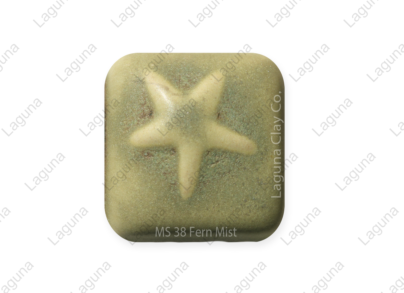Fern Mist MS38