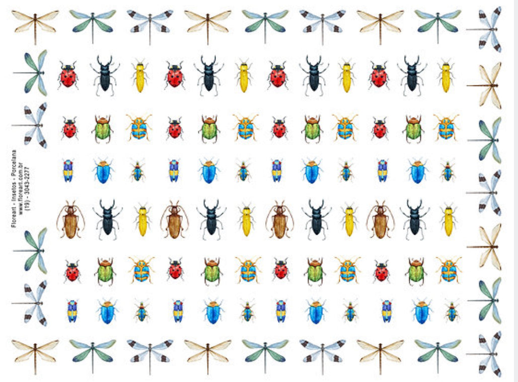 Insects