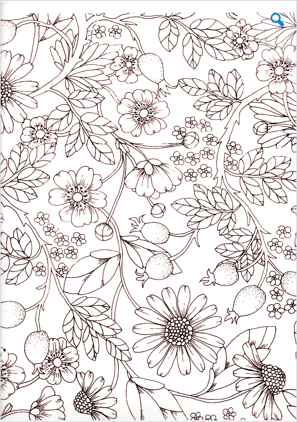 Flowers and Fruits Outline overglaze Decal