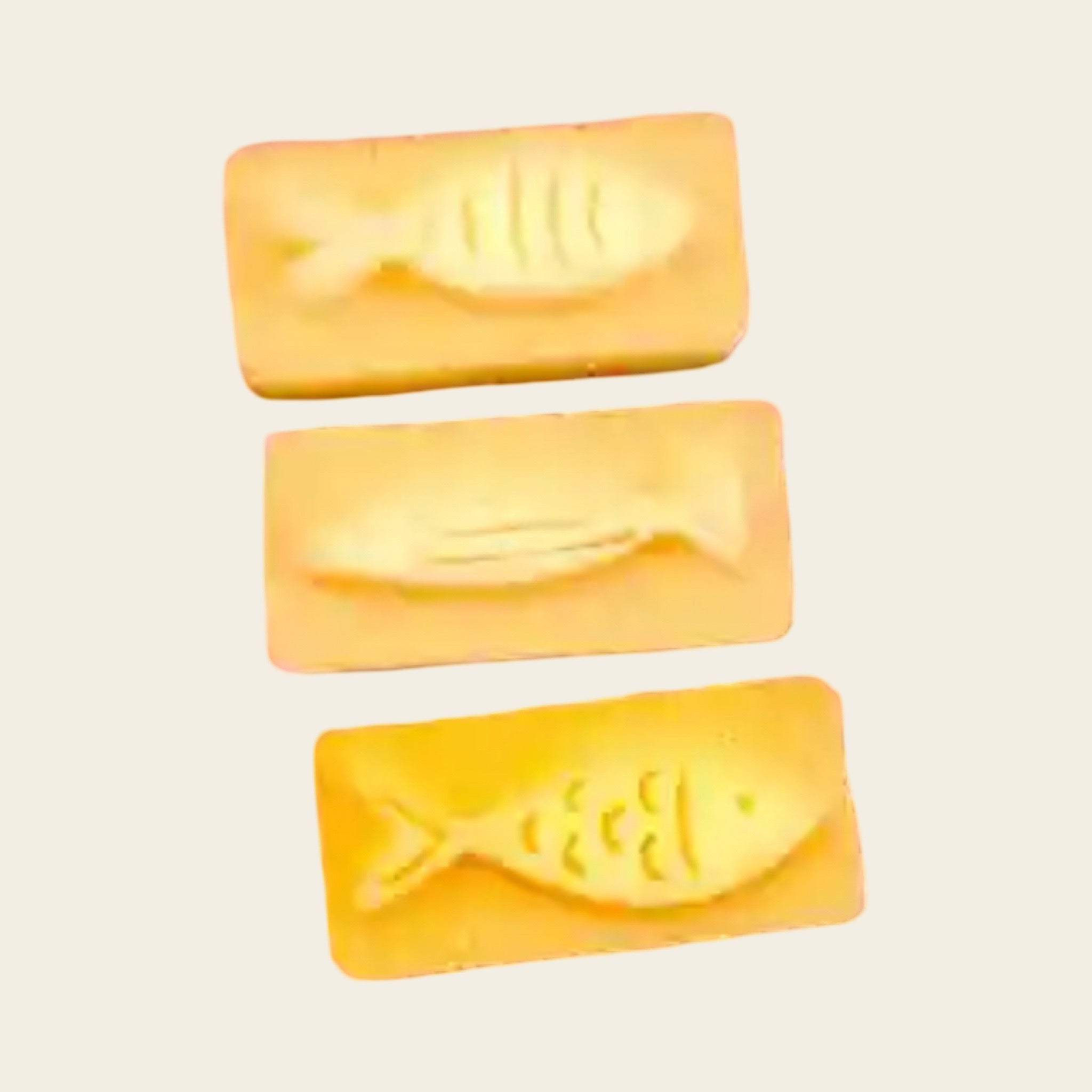 Sponge Press – 5 Fish design