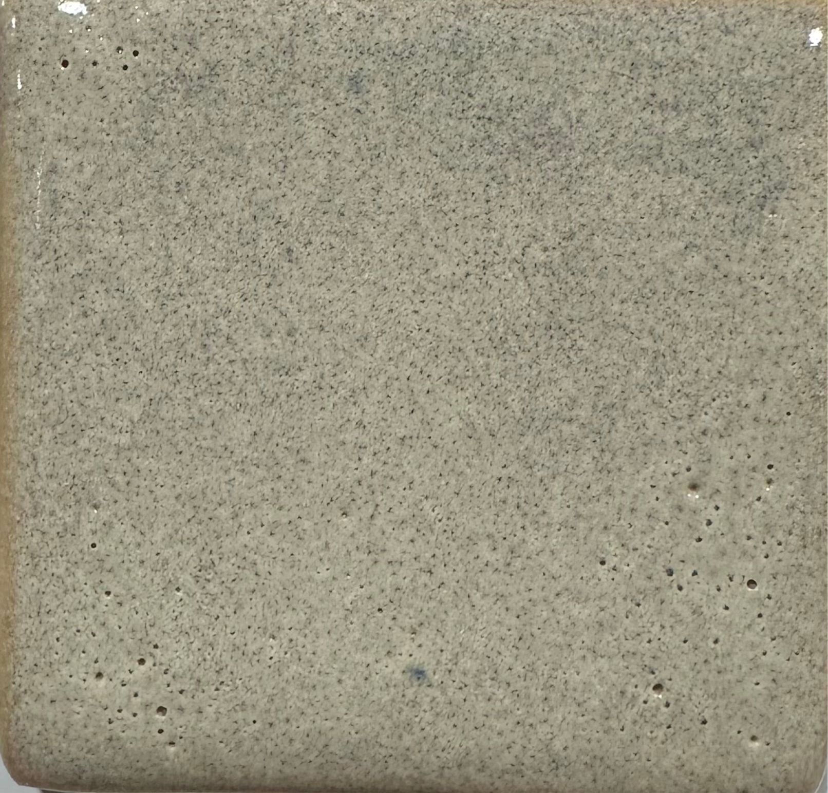 Beechnut MBG189