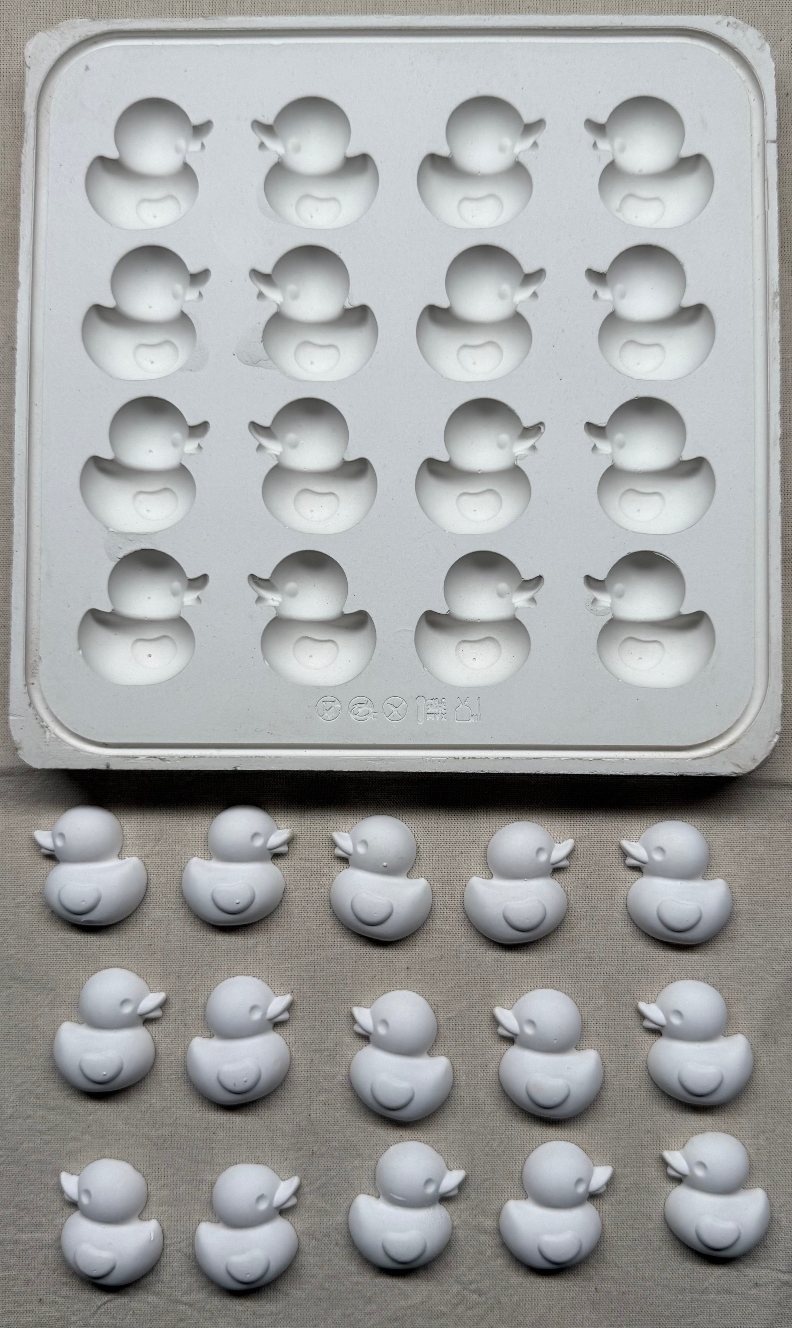 Duck Plaster Mold