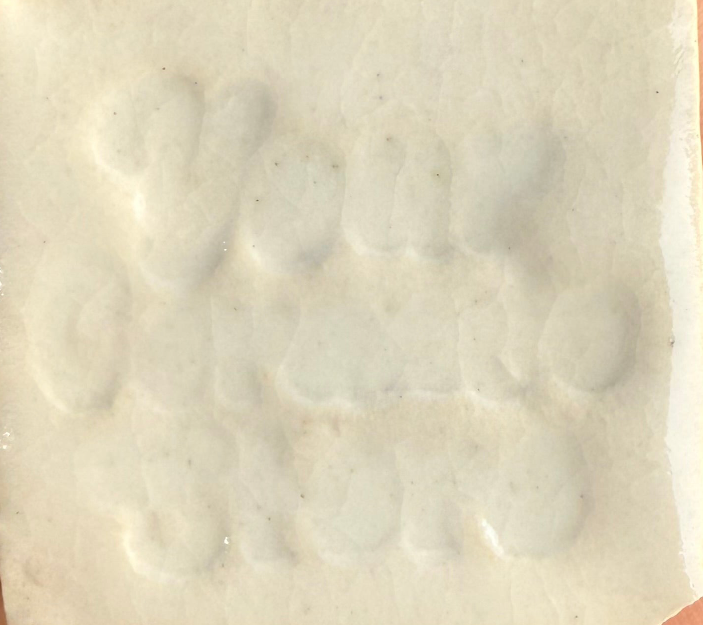 Eggshell MBG011
