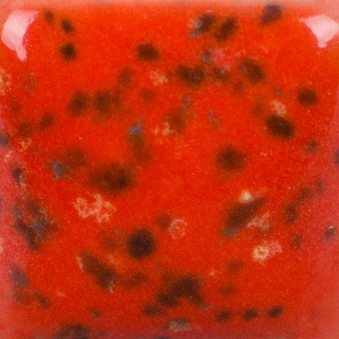 Speckled Tutu Tango SP288