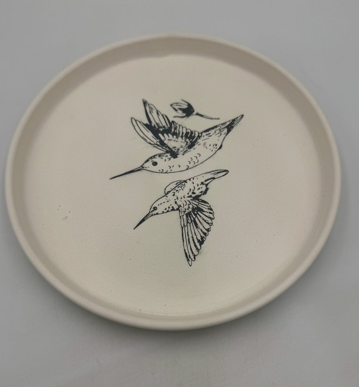 Earthenware Bisque Plate with Underglaze Outline