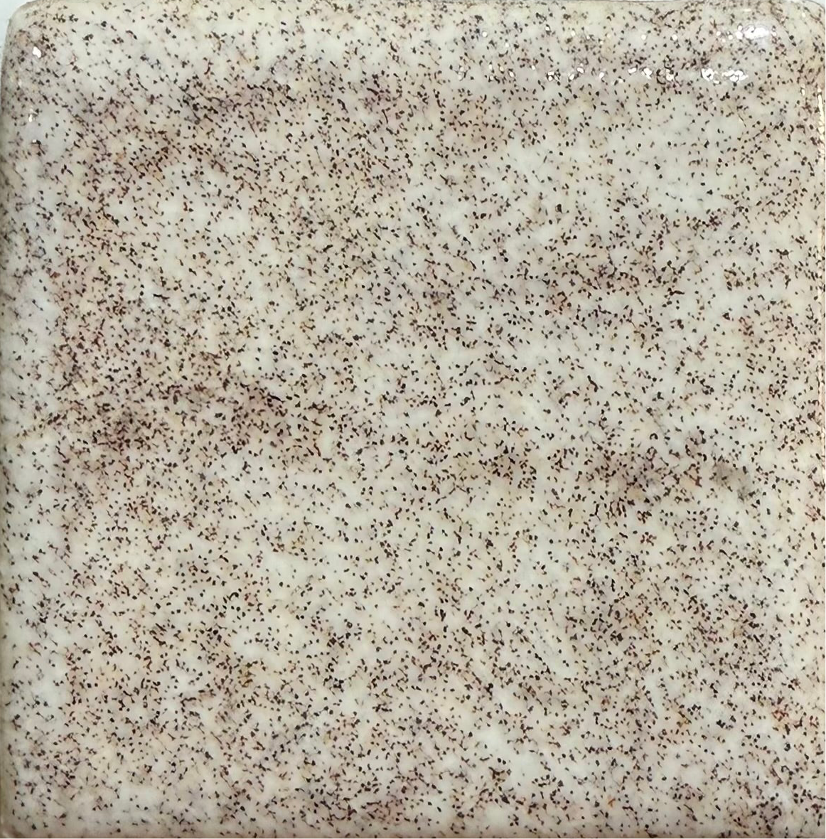 Oatmeal MBG048