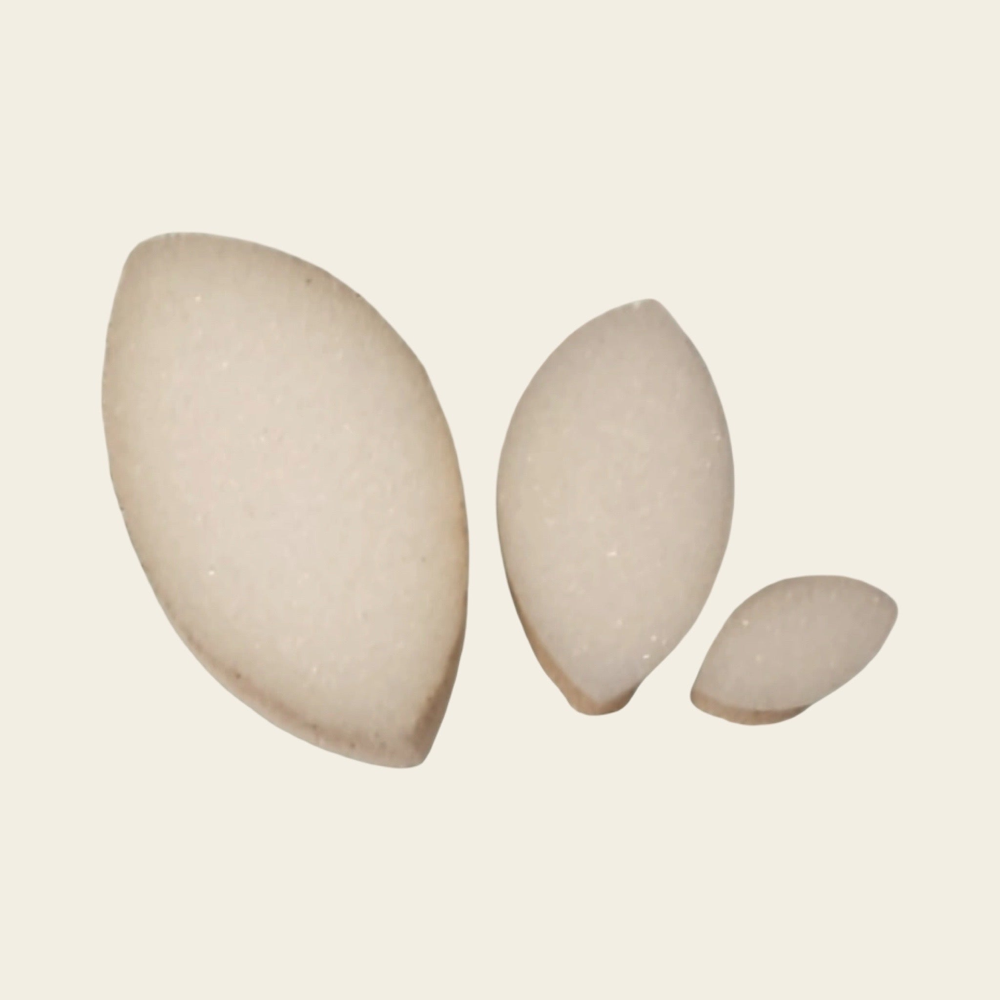 Sponge Press – Leaf Oval Design