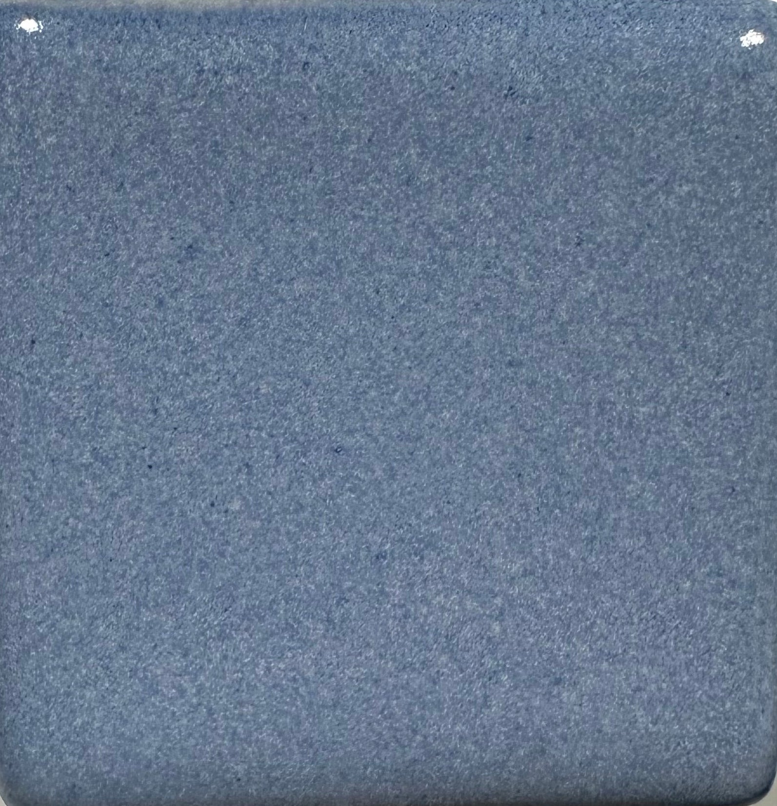 Blue Cornflower MBG191