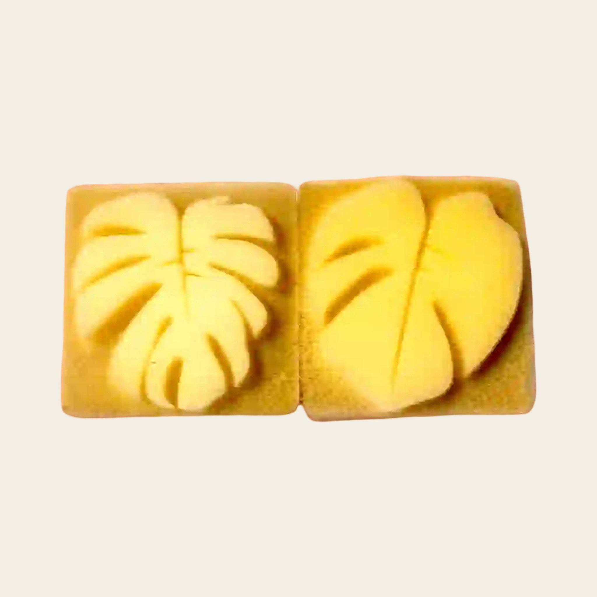 Sponge Press – Fig Leaf Design set of 3