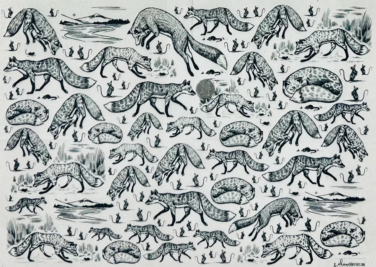 Foxy Loxy - Underglaze Transfer Sheet - Black