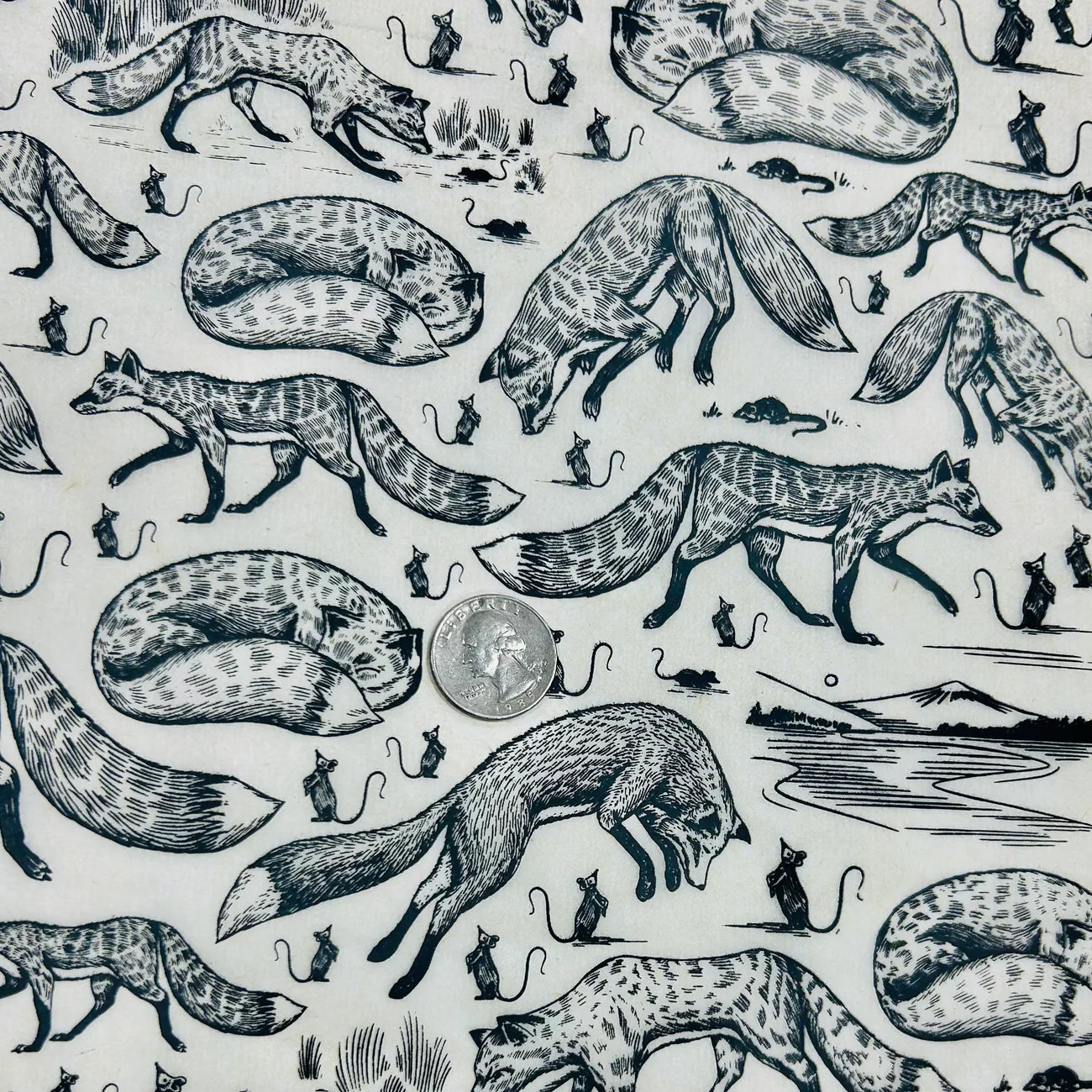 Foxy Loxy - Underglaze Transfer Sheet - Black