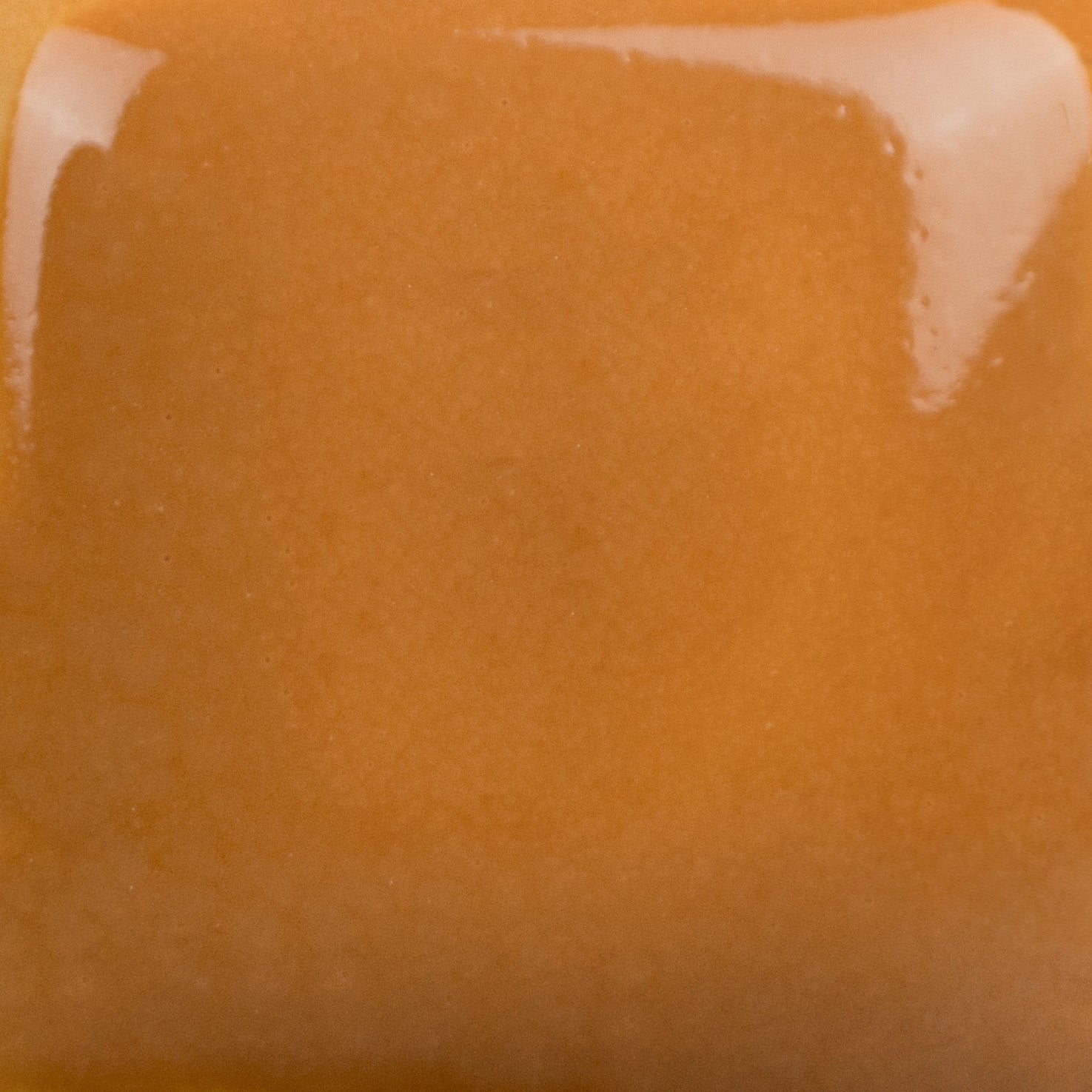 Crackerjack Brown SC025