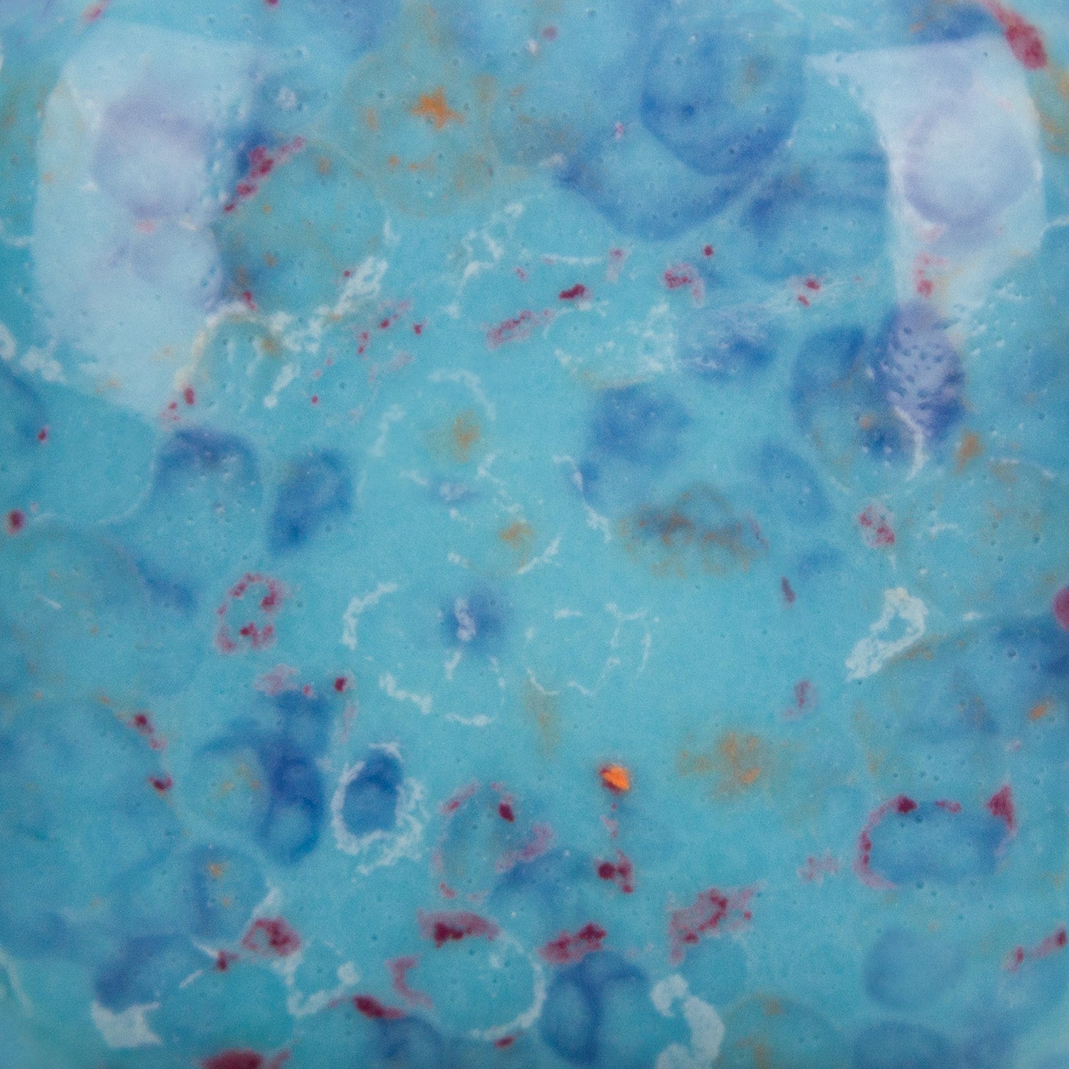Speckled Tic Tac Turquoise SP2105