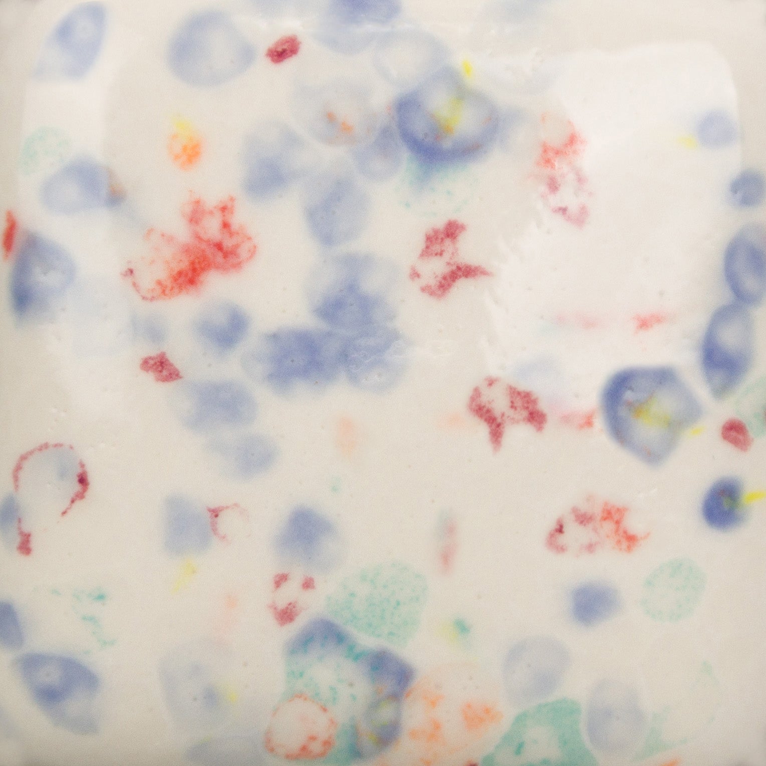 Speckled Old Lace SP286