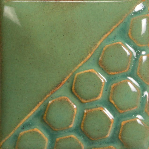Turtle Shell EL131