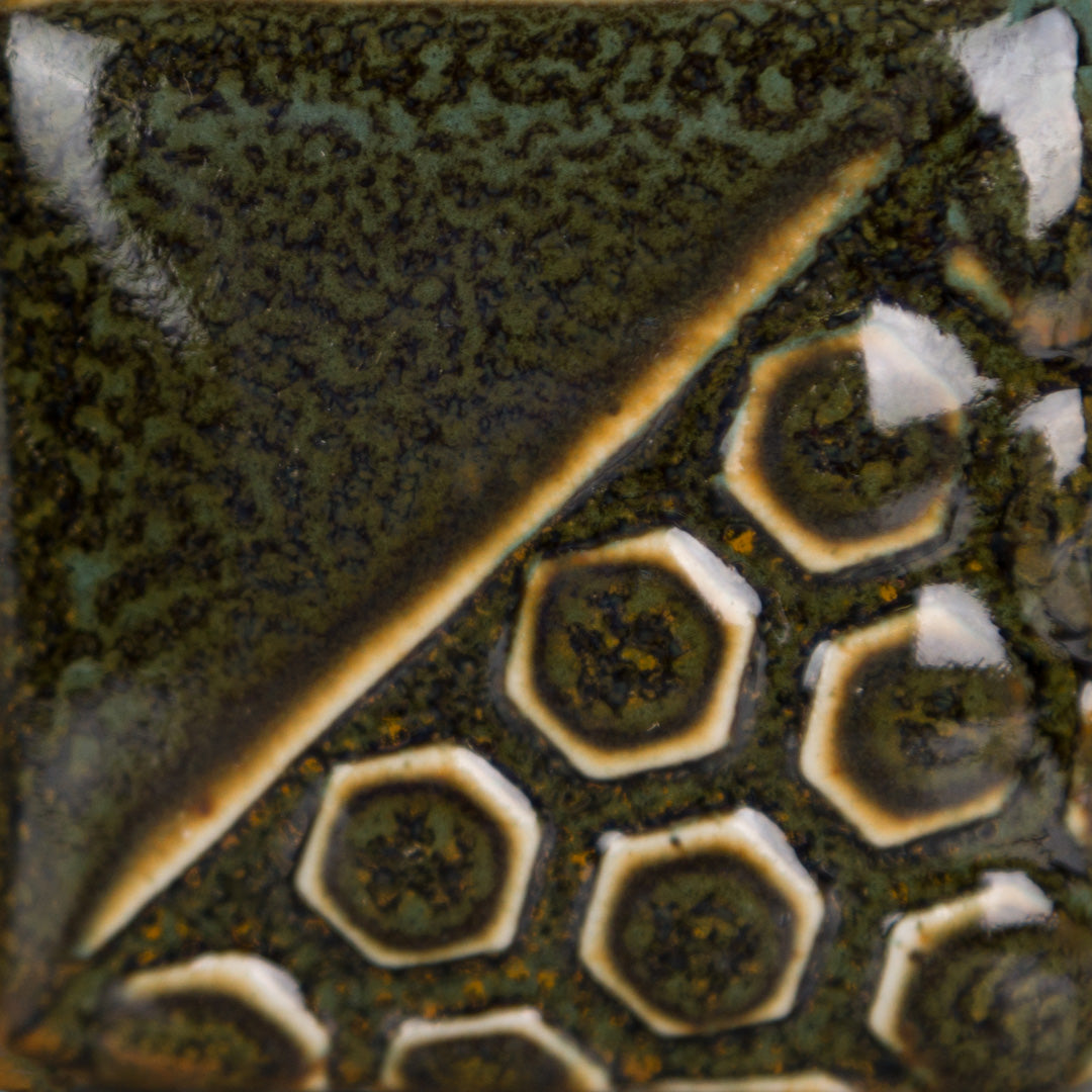 Turtle Shell EL131