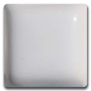MS63 White Gloss - Gallon Size
