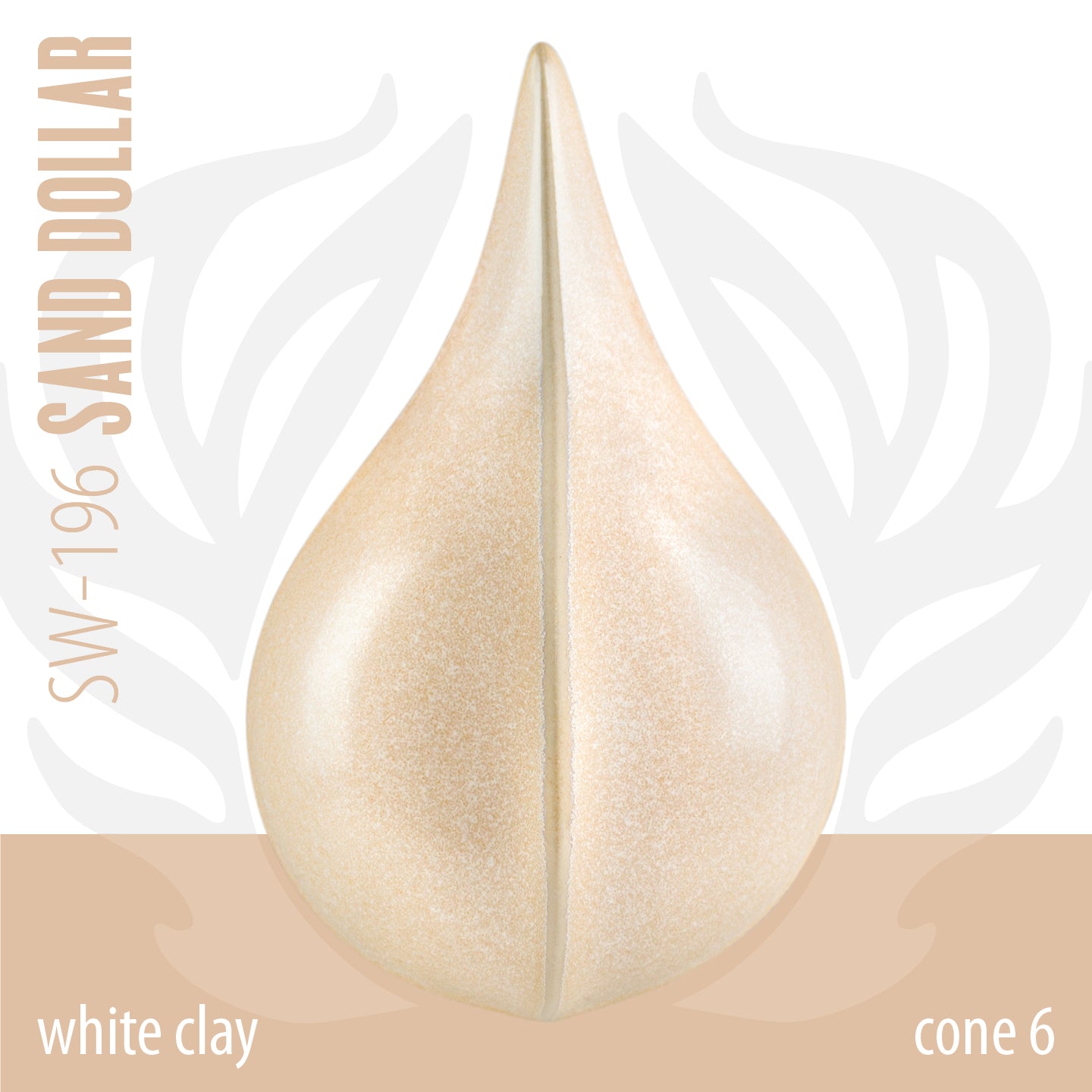 Sand Dollar SW196