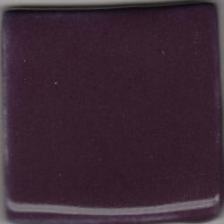 Pansy Purple MBG053