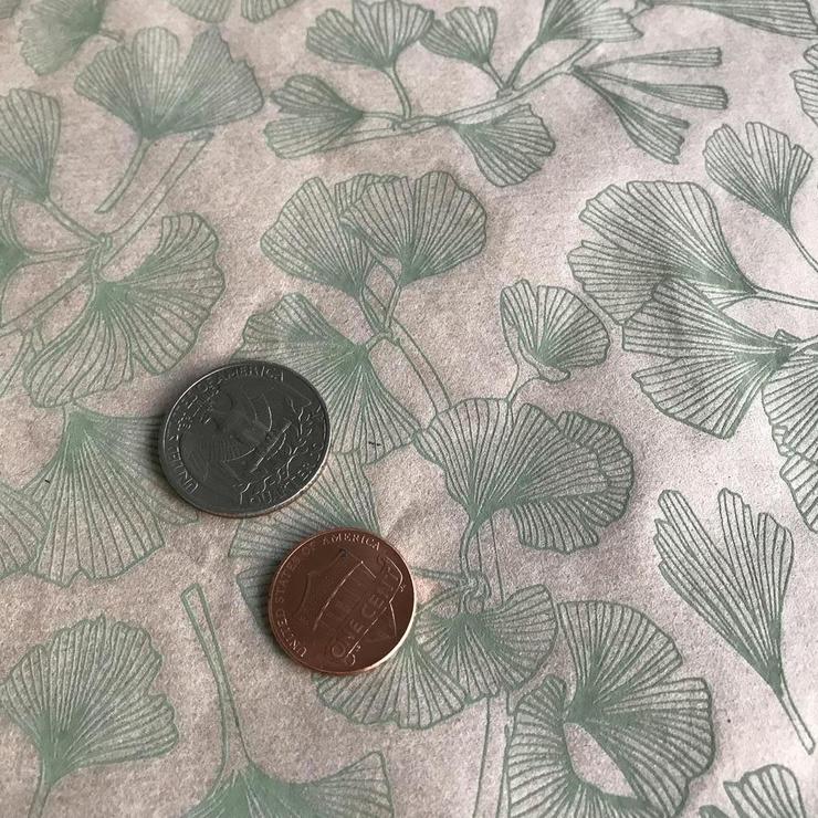 Ginkgo Leaves - Underglaze Transfer Sheet - Green