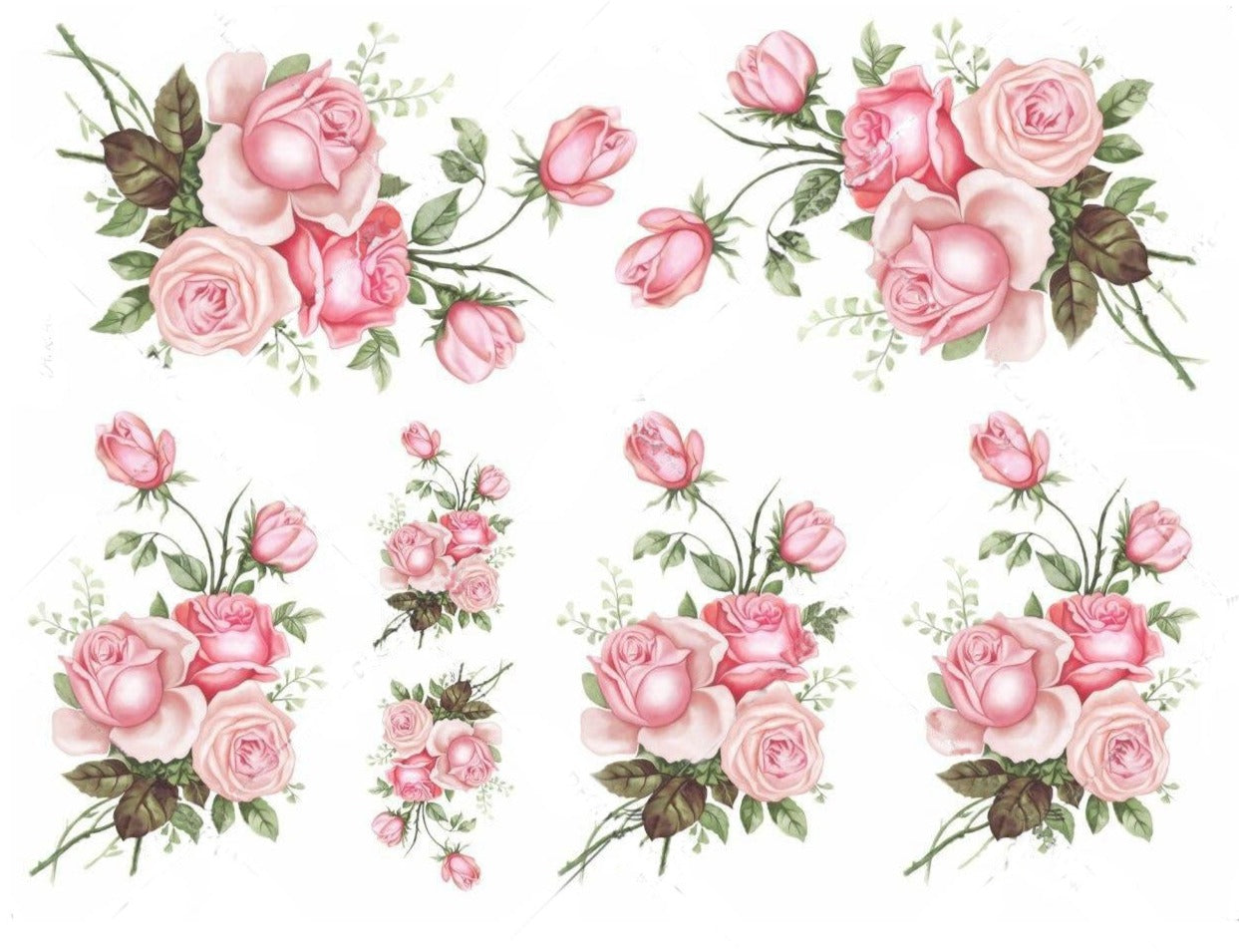 Pink Roses