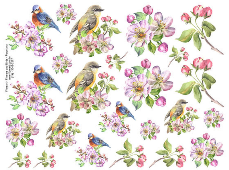 Flowers and Birds